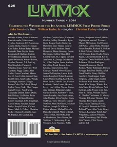 LUMMOX - Number Three features approximately 170 poets.