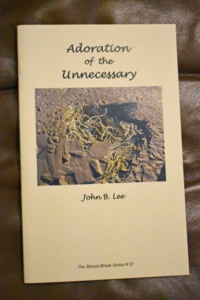 Adoration of the Unnecessary by John B Lee